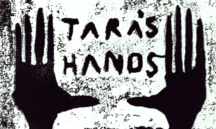 cropped inverted.png